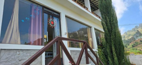 Leaf colour homestays